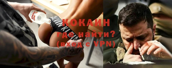 индика Армянск