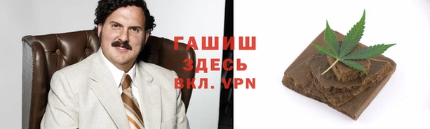 шишки Арсеньев