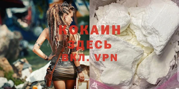 шишки Арсеньев