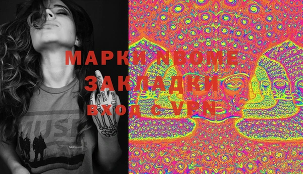 шишки Арсеньев
