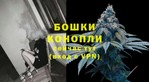 шишки Арсеньев